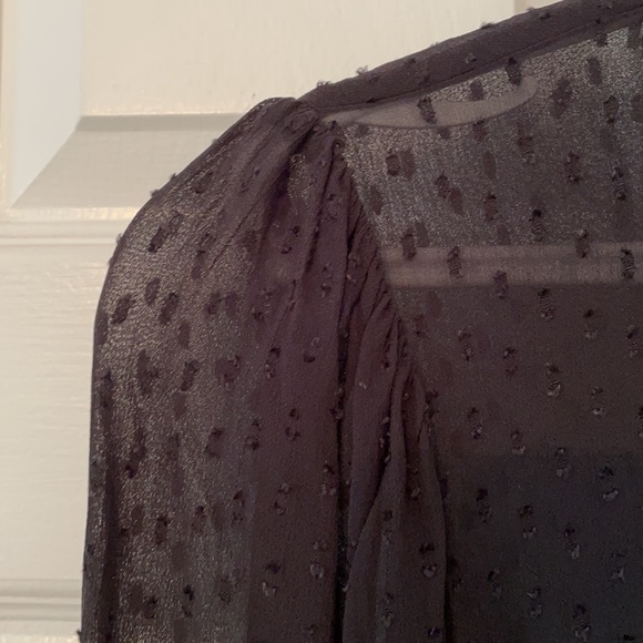 Zara Sheer Blouse - Picture 5 of 5